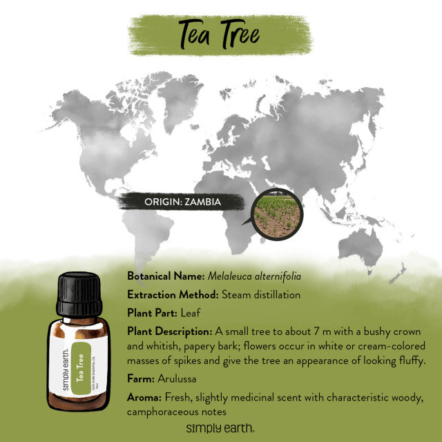 Tea Tree Essential Oil